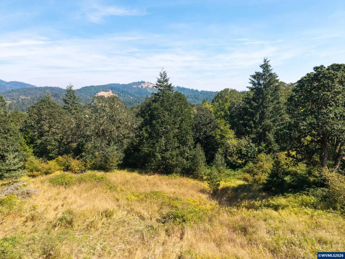 Tract F  Finch (TA 418243) Ln, Philomath, OR 97370 - #1