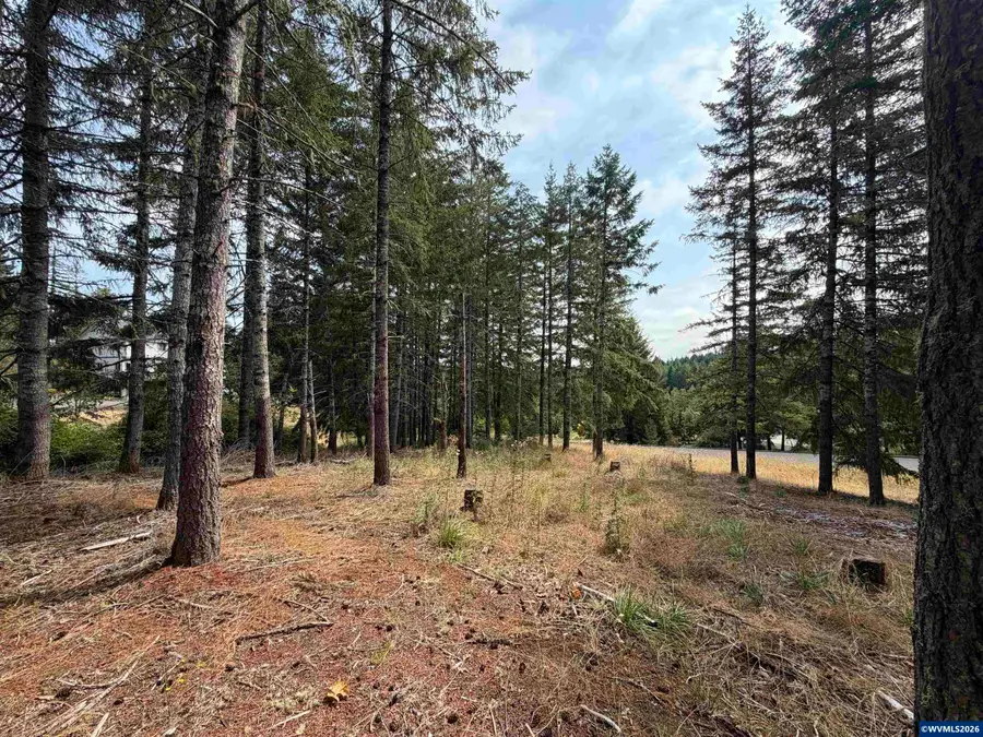 Tract F  Finch (TA 418243) Ln, Philomath, OR 97370 - #2
