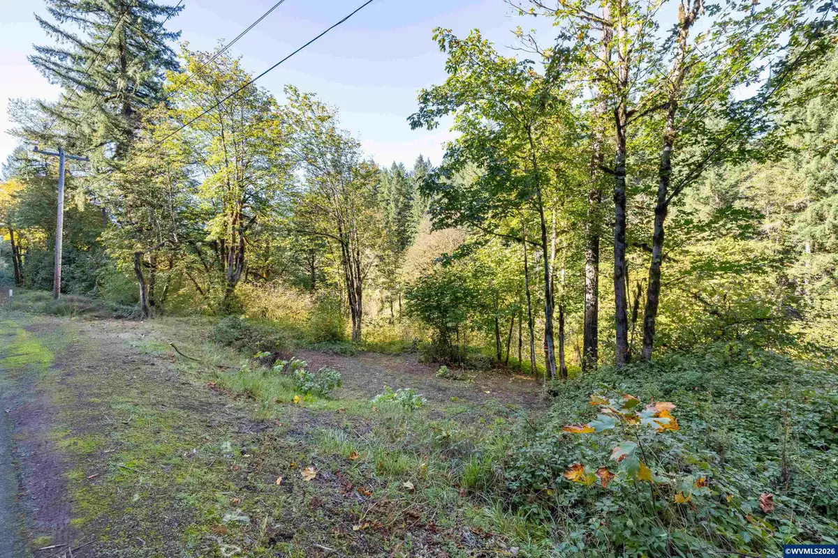 Lot 7  Highway 20, Cascadia, OR 97329 - #1