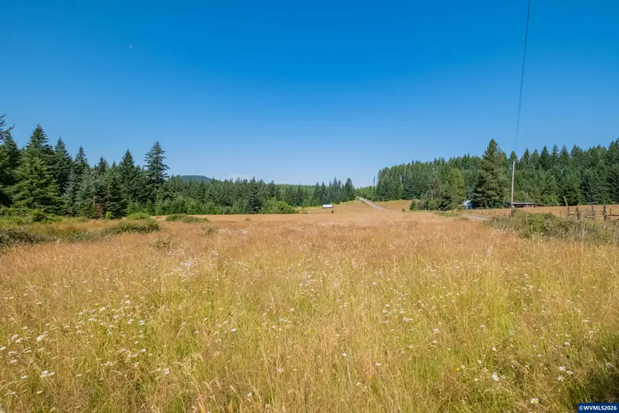 45745  Whiskey Butte(AcrossFrom) Dr, Sweet Home, OR 97386 - #3