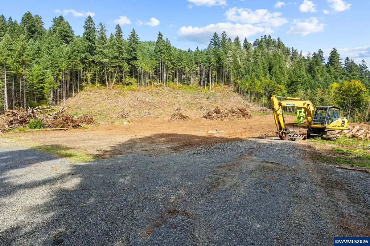 44829  Quartzville (Next To) Dr, Sweet Home, OR 97386 - #1