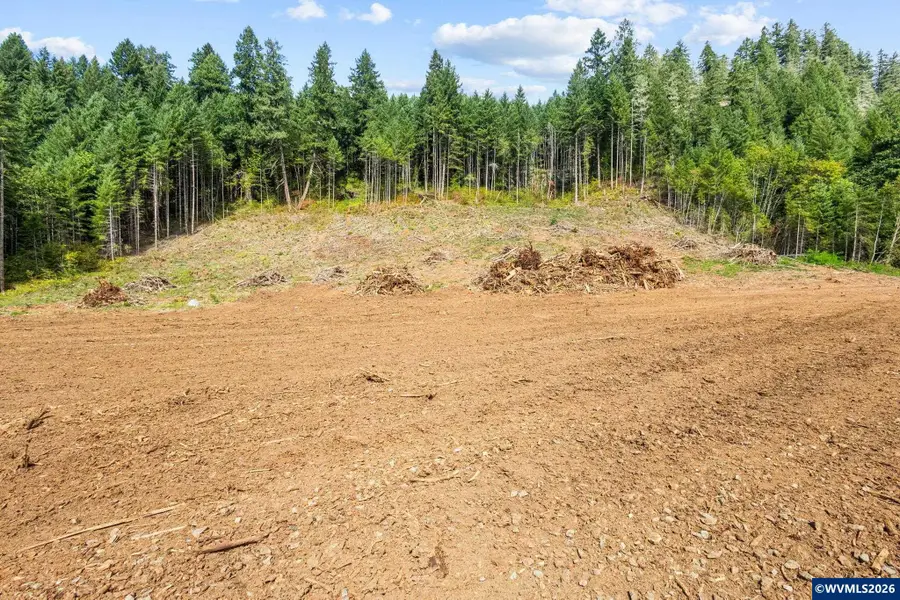 44829  Quartzville (Next To) Dr, Sweet Home, OR 97386 - #2