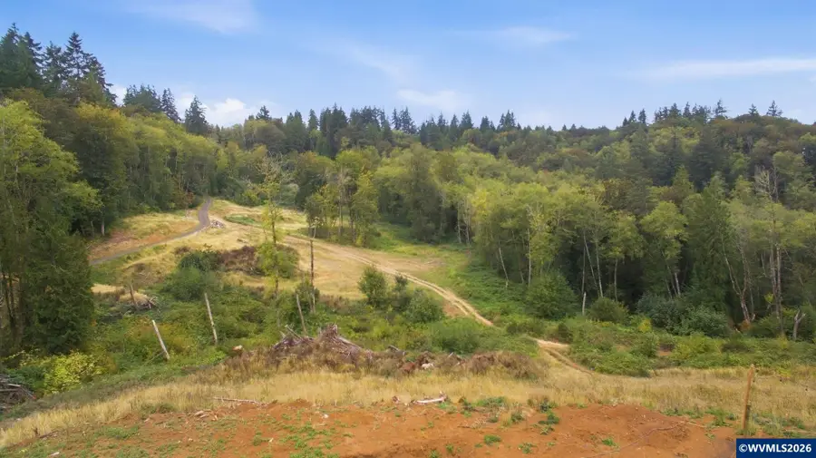 Lot 1  St Helen Rd, Saint Helens, OR 97051 - #3