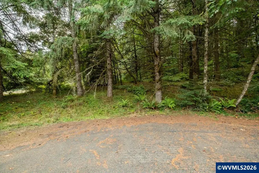 Lot 16  Ridgetop Dr, Lebanon, OR 97355 - #3