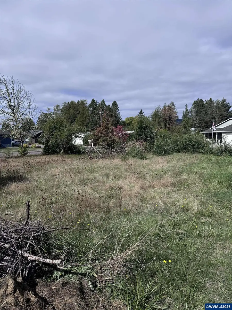 Airport( Tax lot 238945) Ln, Sweet Home, OR 97386 - #2