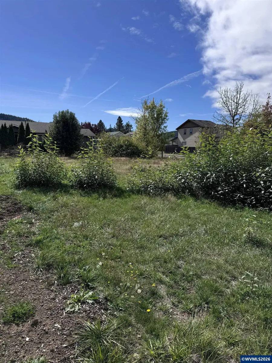 Airport( Tax lot 238945) Ln, Sweet Home, OR 97386 - #3