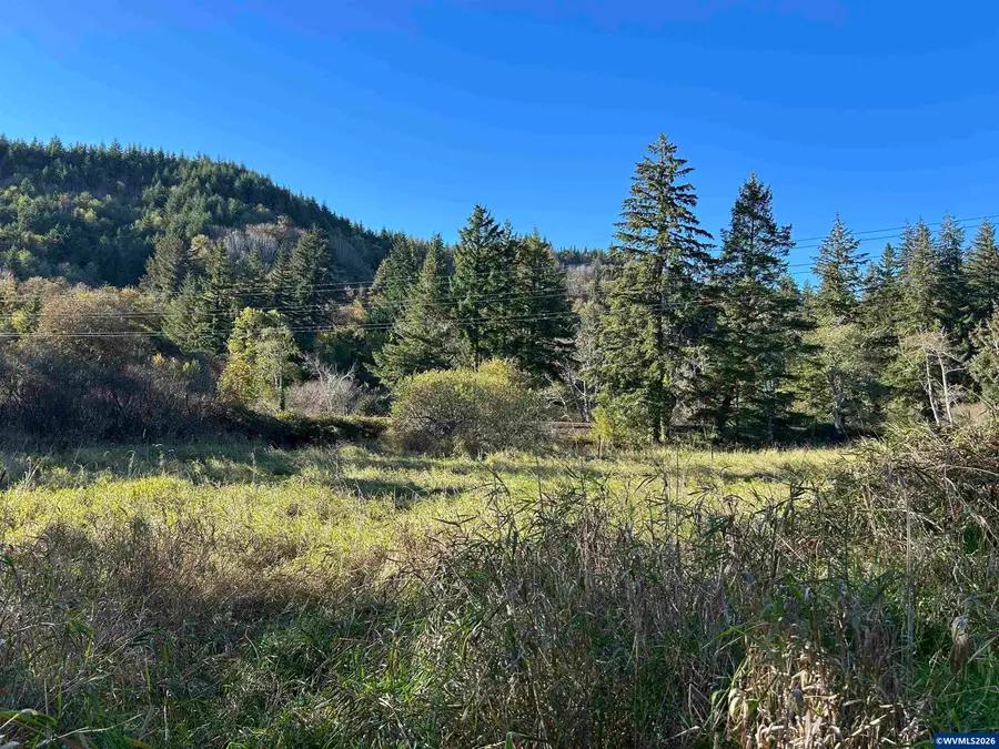 Lot 1  Siletz Hwy, Toledo, OR 97391 - #2