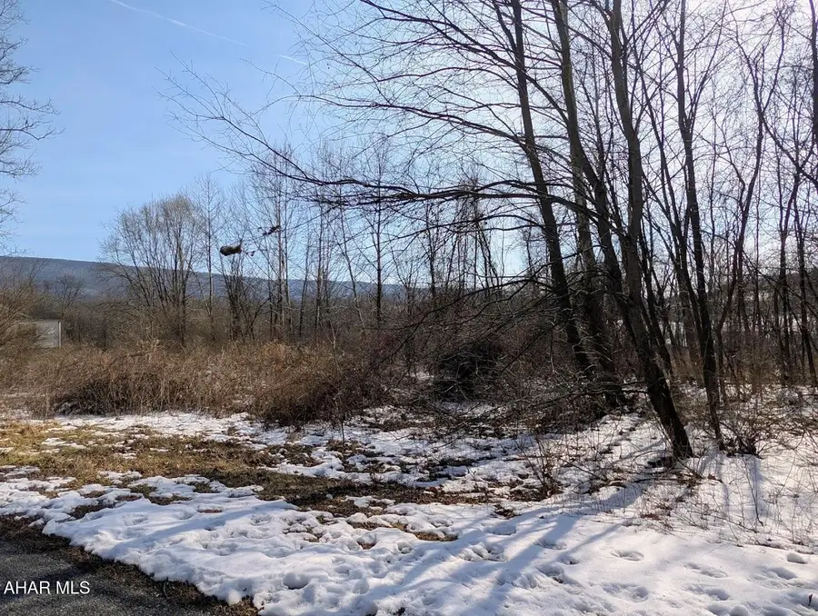 Lot 8 Juniata Mills, Everett, PA 15537 - #2