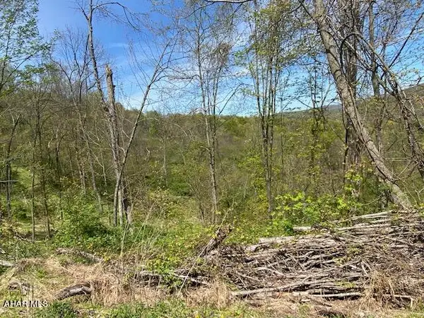 Lot 6 Polecat Hollow Road, Hopewell, PA 16650