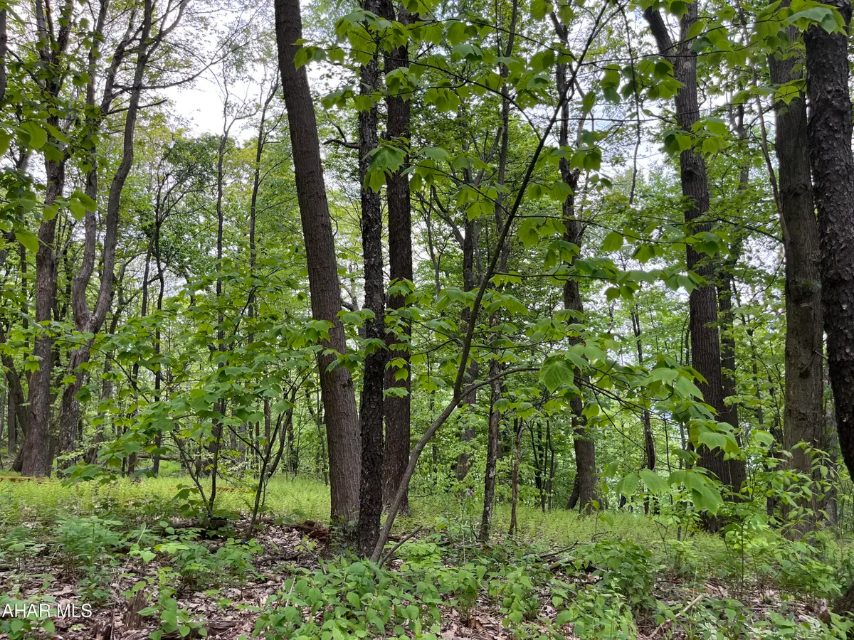 000 Little Valley Road #Lot 8, Claysburg, PA 16625 - #1