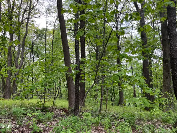 000 Little Valley Road #Lot 8, Claysburg, PA 16625