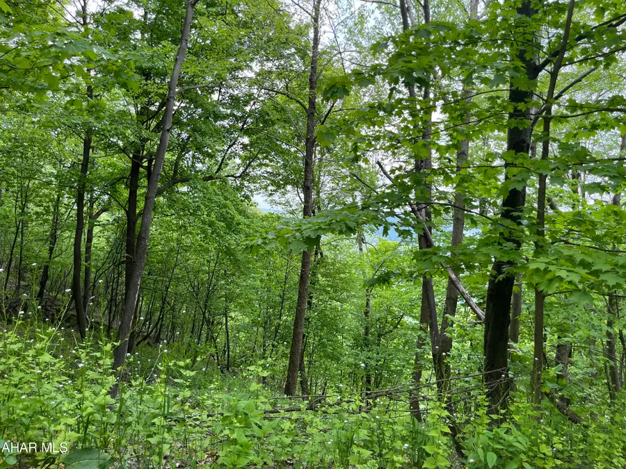 000 Little Valley Road #Lot 8, Claysburg, PA 16625 - #2