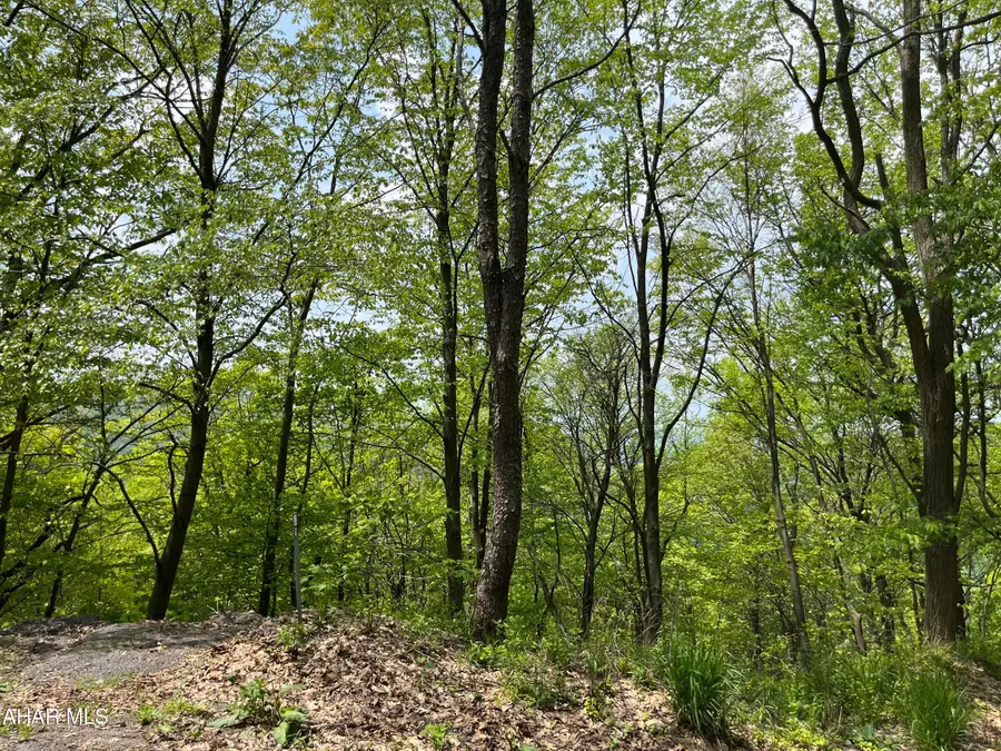 000 Little Valley Road #Lot 8, Claysburg, PA 16625 - #3