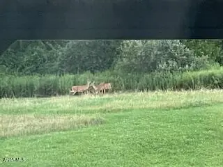 #3