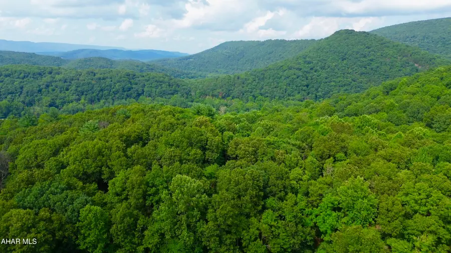00 Brumbaugh Cemetary Road, Saxton, PA 16678 - Image #2
