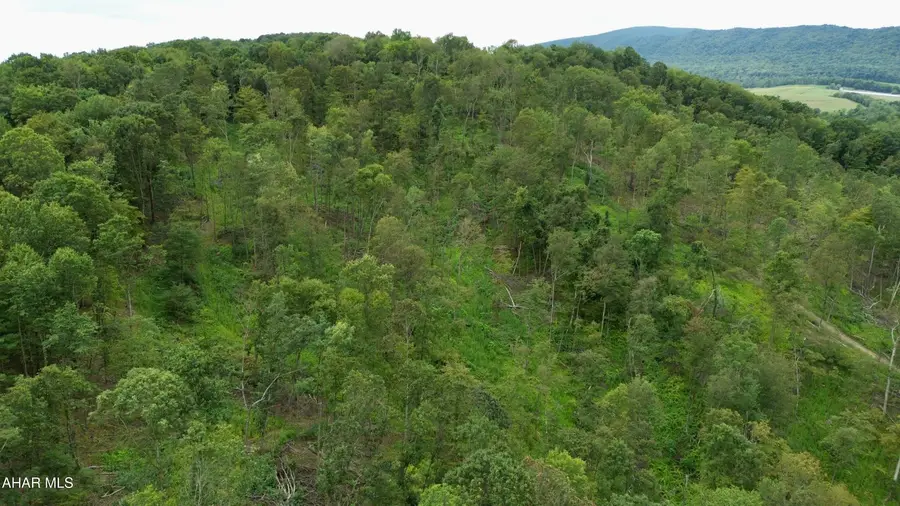 00 Raven Run Road, Saxton, PA 16678 - Image #2