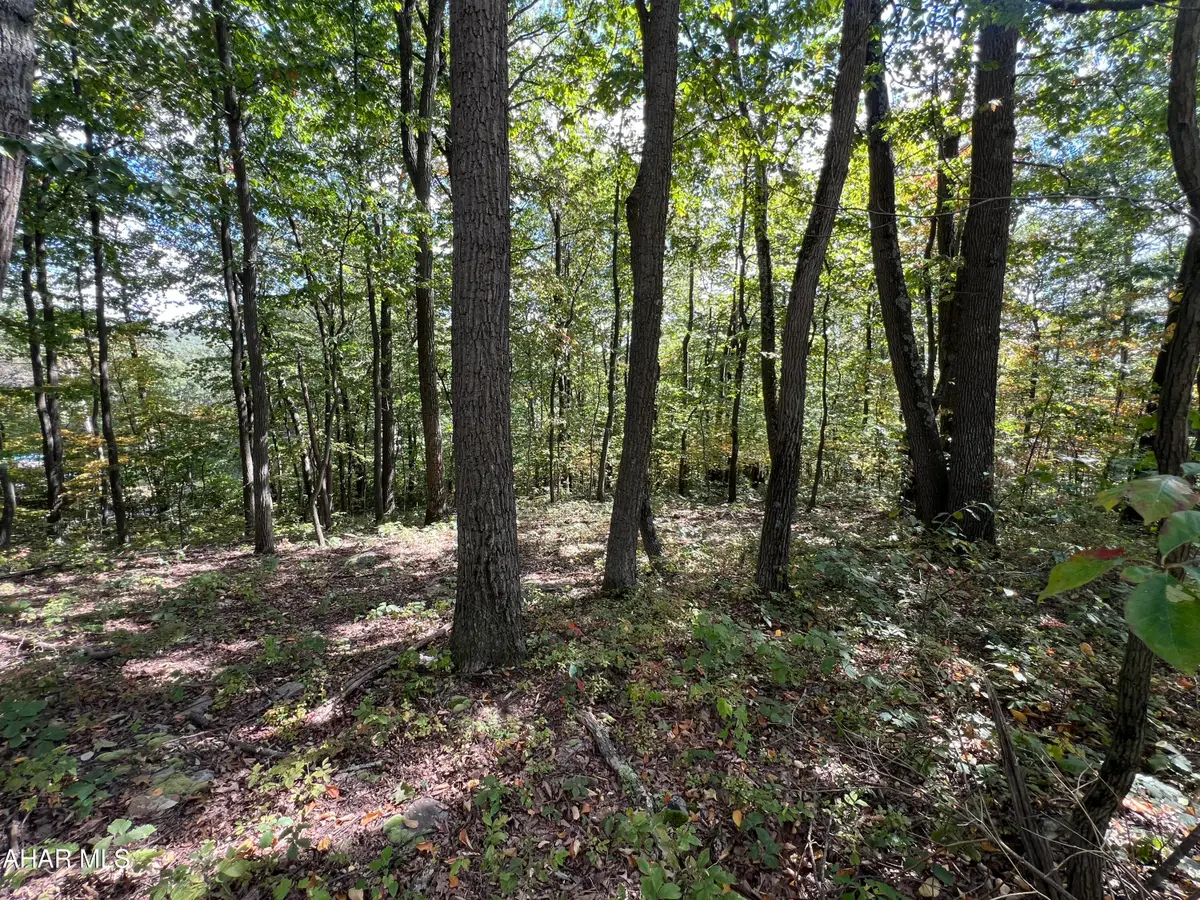 Lot 31 Woodlawn Drive, Crystal Spring, PA 15536 - Image #1