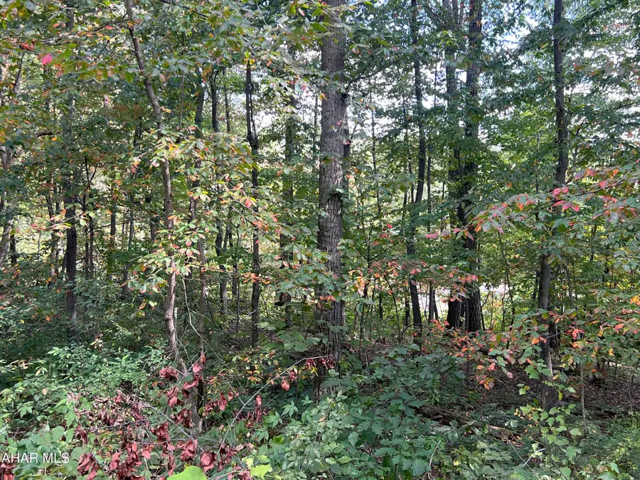 Lot 31 Woodlawn Drive, Crystal Spring, PA 15536 - Image #2