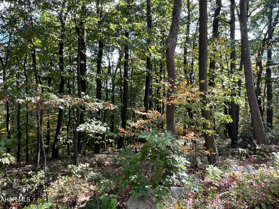 Lot 31 Woodlawn Drive, Crystal Spring, PA 15536 - Image #3