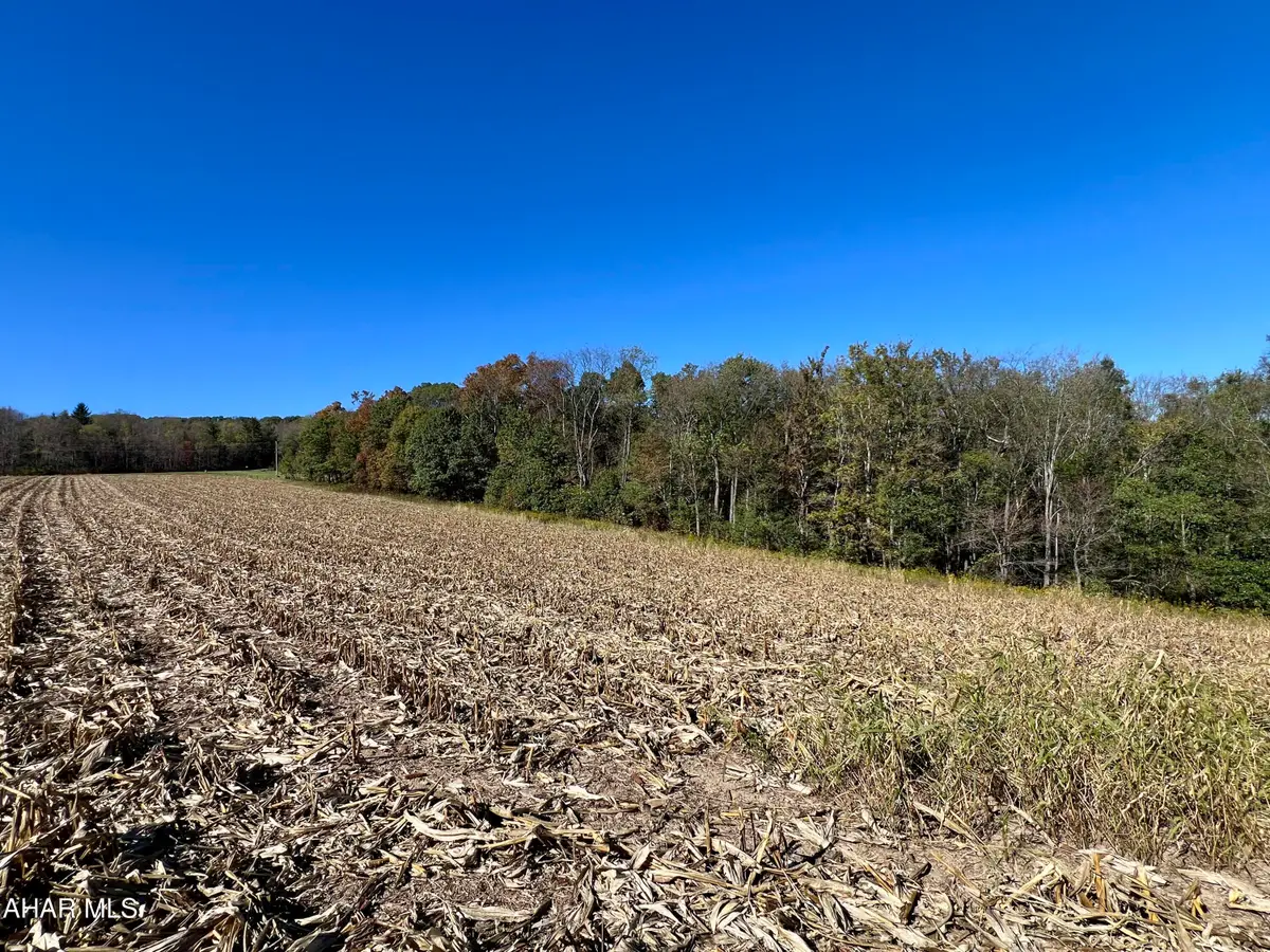 Lot 1 Anderson Road, Schellsburg, PA 15559 - Image #1