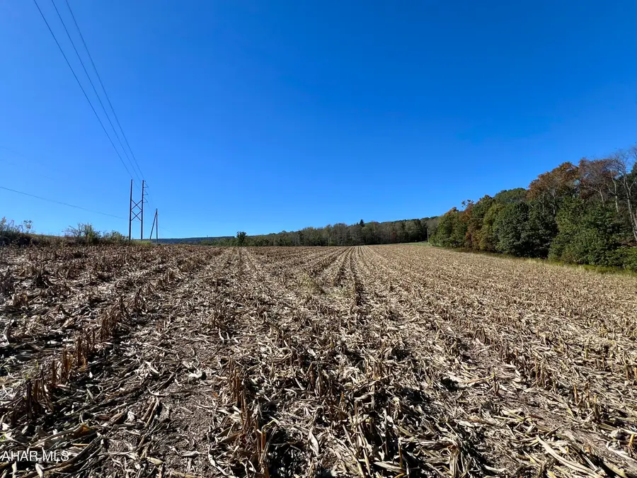 Lot 1 Anderson Road, Schellsburg, PA 15559 - Image #2