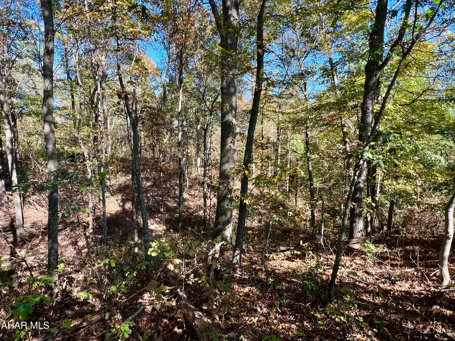 Lot 1 Anderson Road, Schellsburg, PA 15559 - Image #3
