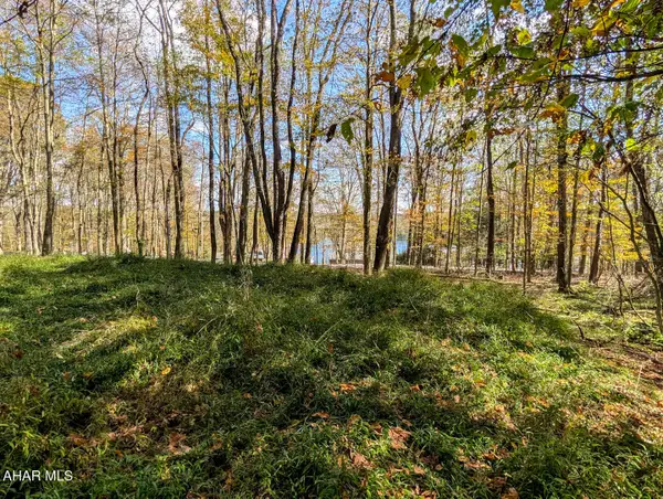 Lot 125 Peninsula Drive, Central City, PA 15926