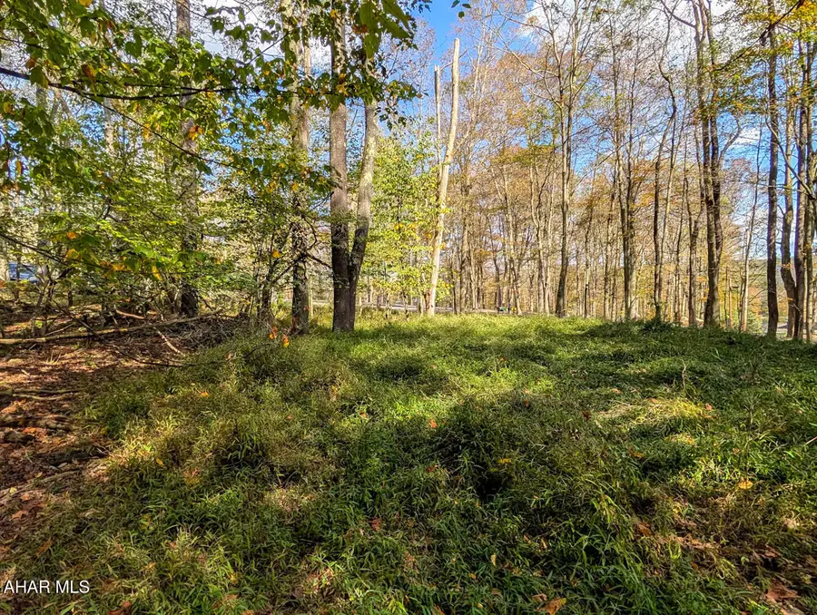 Lot 125 Peninsula Drive, Central City, PA 15926 - Image #2