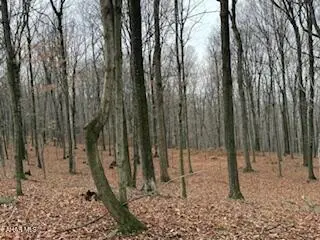 341 Heaton Road, Six Mile Run, PA 16679 - Image #3