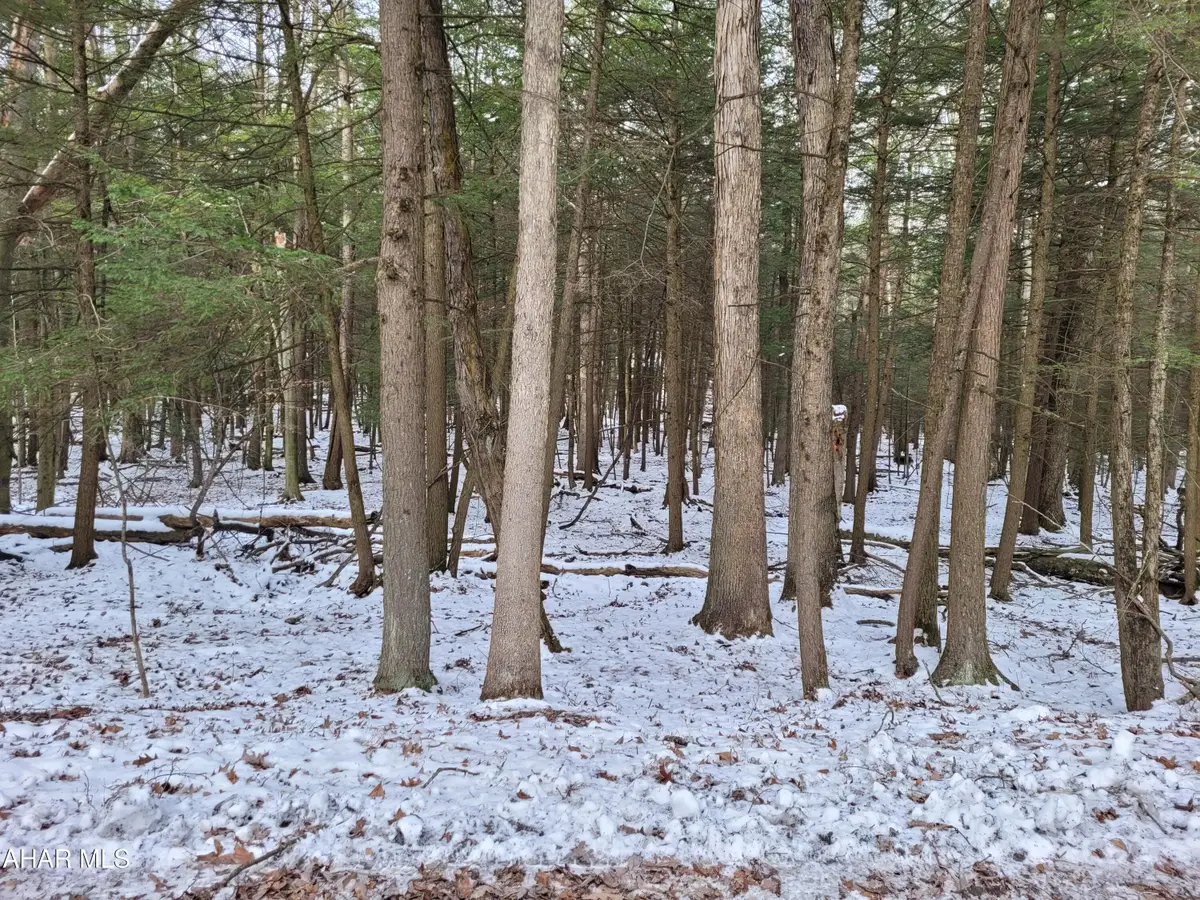 138 Red Oak Road, Flinton, PA 16640 - Image #1