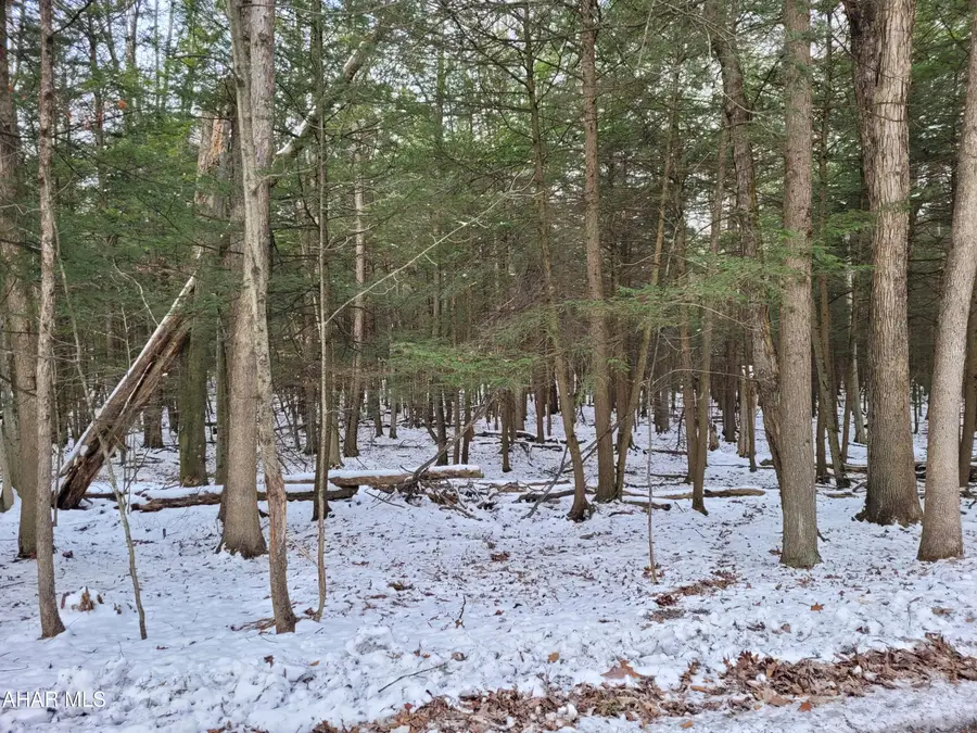 138 Red Oak Road, Flinton, PA 16640 - Image #2