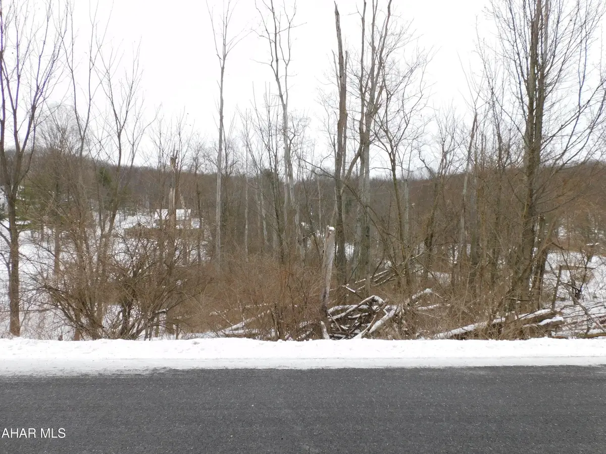 0 Grandview Road, Tyrone, PA 16686 - Image #1