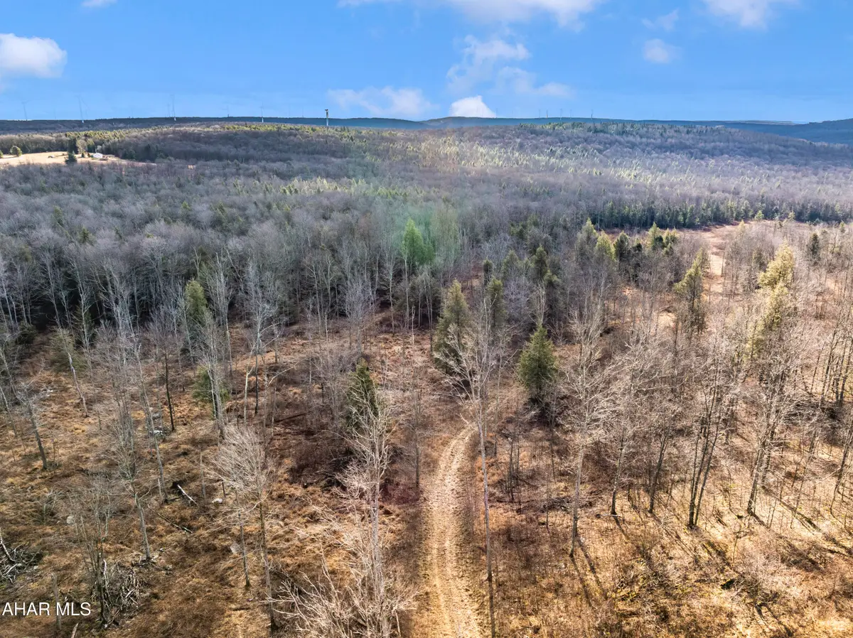 000 Lot 6 Mountain Road, Lilly, PA 15938 - Image #1