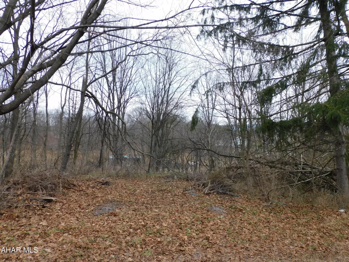 0 N 17th Avenue, Altoona, PA 16601 - Image #1