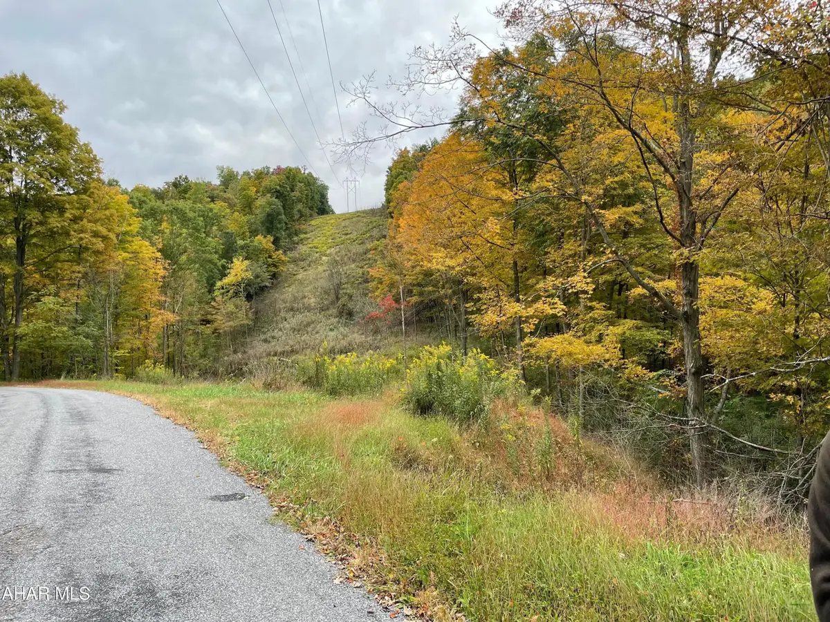 2491 Baughman Cemetary Road, Tyrone, PA 16686 - Image #1