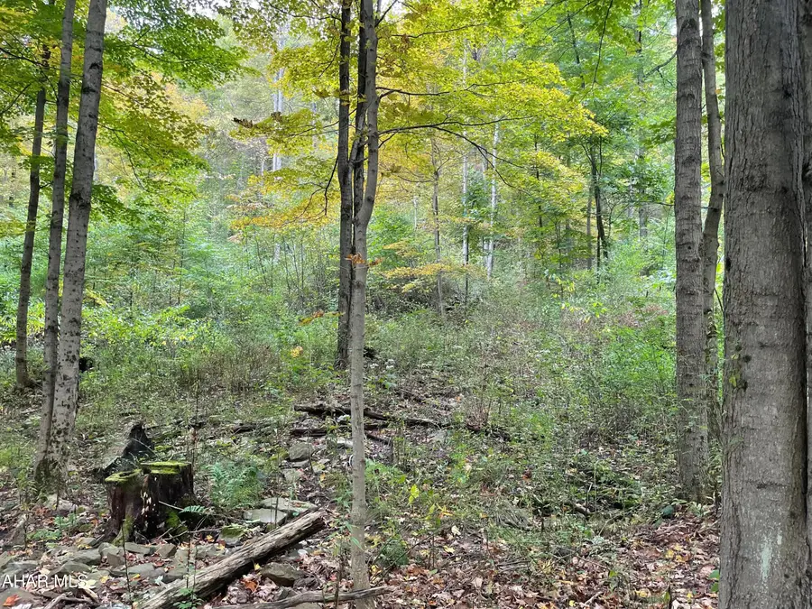 2491 Baughman Cemetary Road, Tyrone, PA 16686 - Image #3