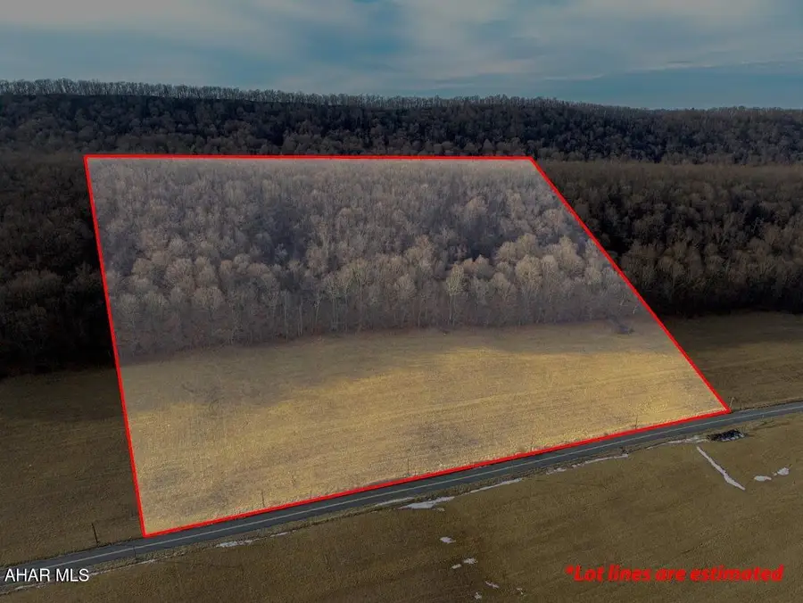 19.95 Acre Milligans Cove Road, Manns Choice, PA 15550 - #2