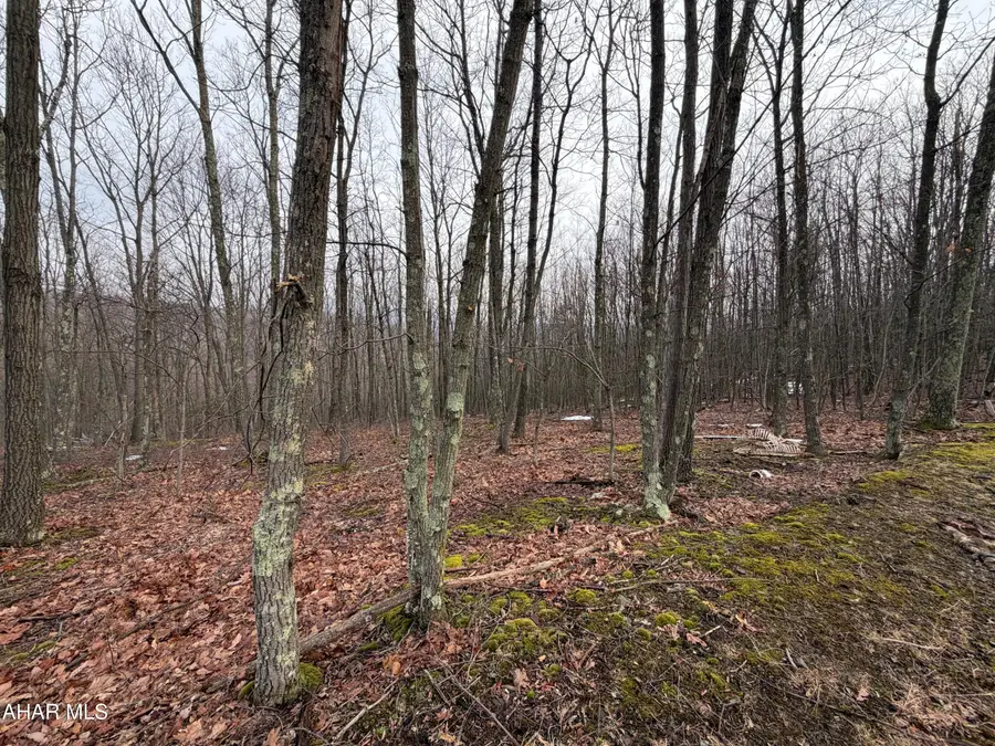 853 Dark Hollow Road, Imler, PA 16655 - #3