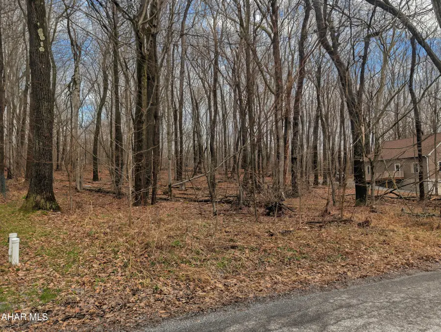 140 Overland Pass Road, Claysburg, PA 16625 - #3