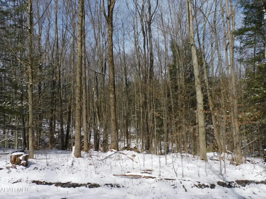 0 Gallitzin Road, Ashville, PA 16613 - #2