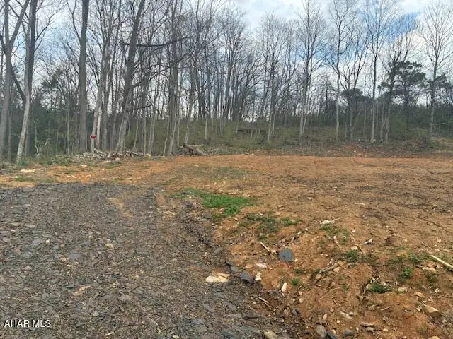 814 Beaver Dam Road, Hollidaysburg, PA 16648 - #3