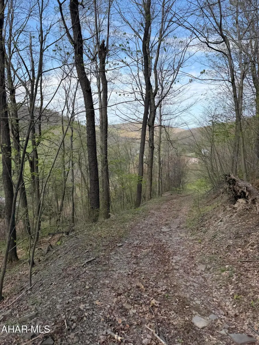 . W Carson Valley Road, Duncansville, PA 16635 - #3