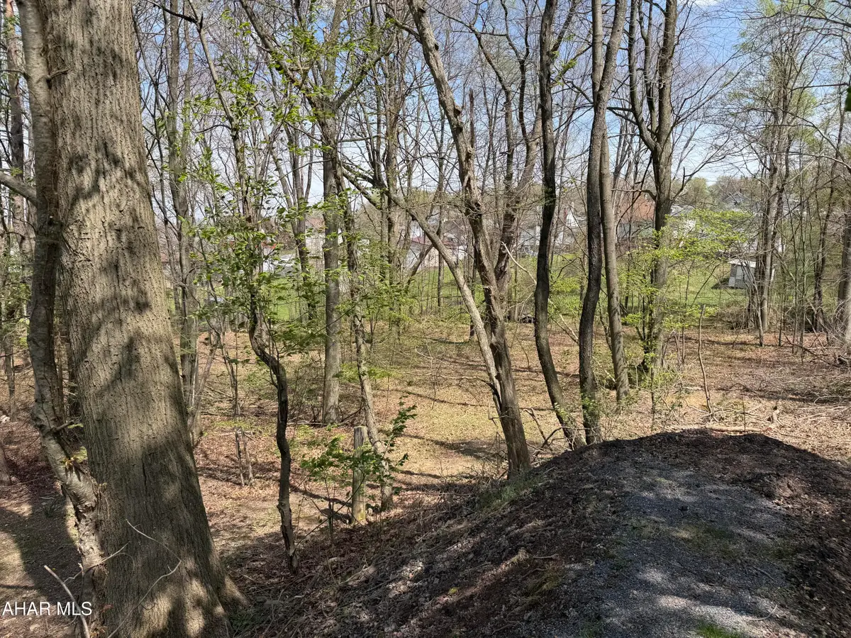 . W Wesley Avenue, Portage, PA 15946 - #1