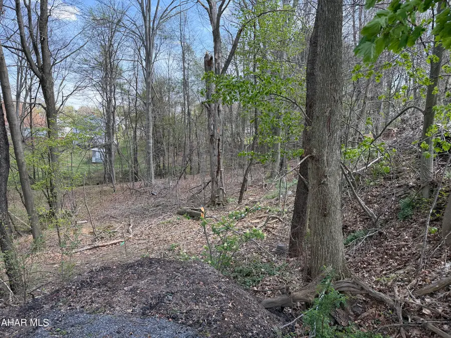 . W Wesley Avenue, Portage, PA 15946 - #2