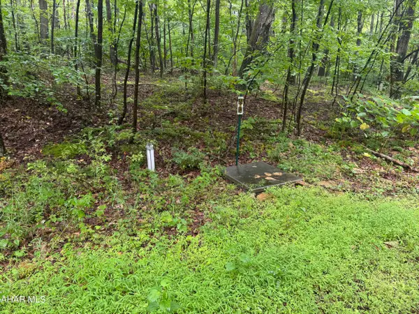 145 Oak Hill Lane, Claysburg, PA 16625