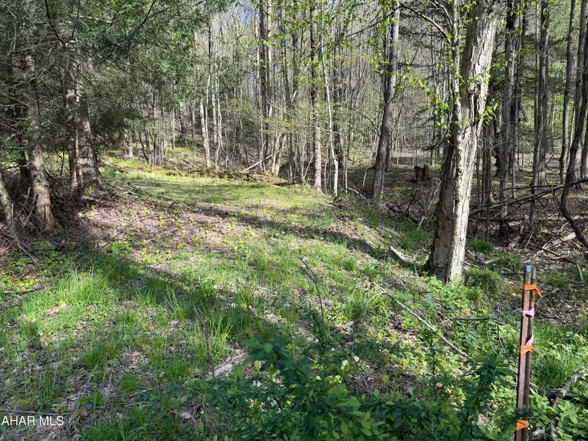 . Bracken Street, Johnstown, PA 15909 - #1