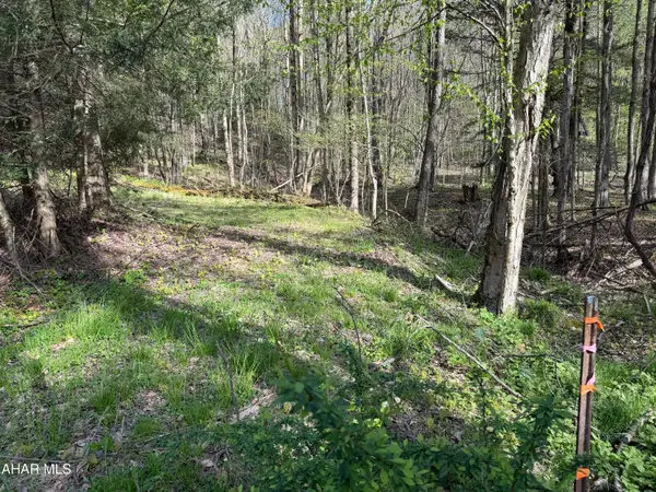 . Bracken Street, Johnstown, PA 15909
