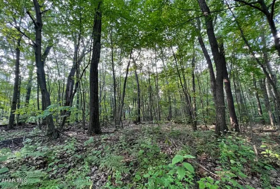 122 Overland Pass Road, Claysburg, PA 16625 - #2