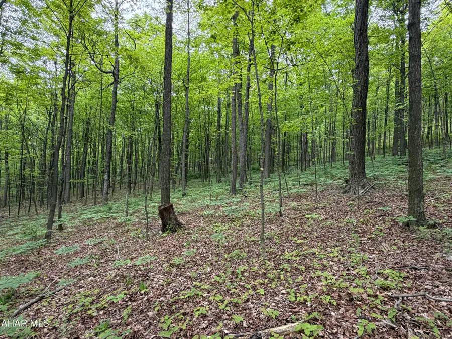55ac Main Road, Bedford, PA 15522 - #2