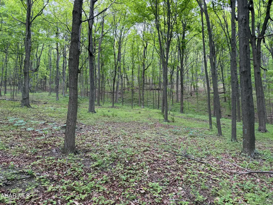 55ac Main Road, Bedford, PA 15522 - #3